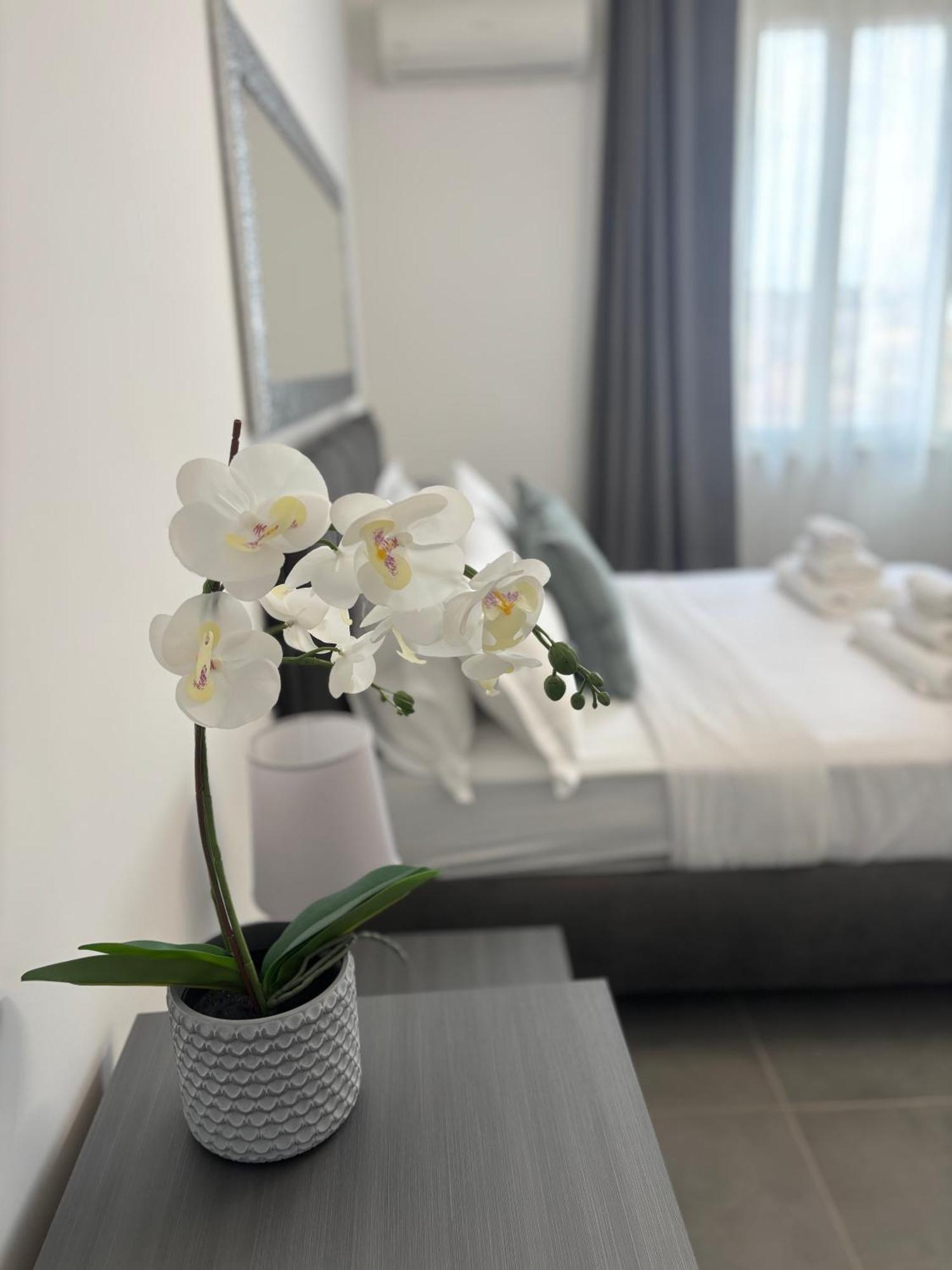 Appartamento Travel House Roma